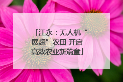 江永：无人机“展翅”农田 开启高效农业新篇章