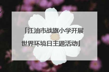 江油市战旗小学开展世界环境日主题活动