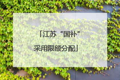江苏“国补”采用限额分配