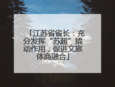 江苏省省长：充分发挥“苏超”撬动作用，促进文旅体商融合