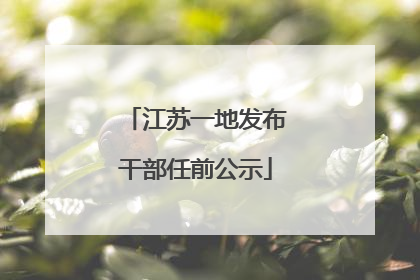 江苏一地发布干部任前公示