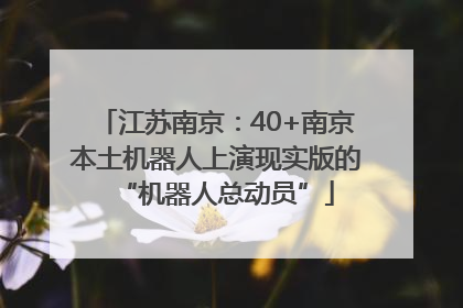 江苏南京：40+南京本土机器人上演现实版的“机器人总动员”