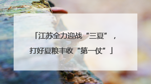 江苏全力迎战“三夏”，打好夏粮丰收“第一仗”
