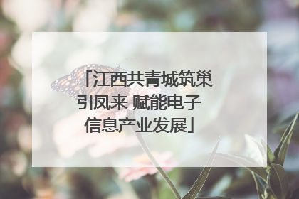 江西共青城筑巢引凤来 赋能电子信息产业发展