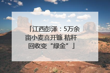 江西彭泽：5万余亩小麦喜开镰 秸秆回收变“绿金”