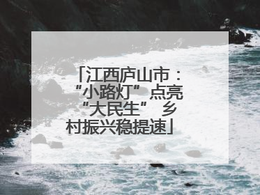 江西庐山市：“小路灯”点亮“大民生” 乡村振兴稳提速