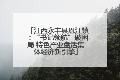 江西永丰县恩江镇：“书记领航”破困局 特色产业盘活集体经济新引擎