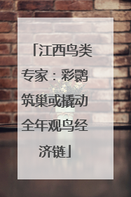 江西鸟类专家：彩鹮筑巢或撬动全年观鸟经济链
