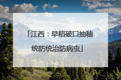 江西：早稻破口抽穗 统防统治防病虫