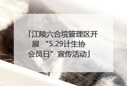 江陵六合垸管理区开展 “5.29计生协会员日”宣传活动