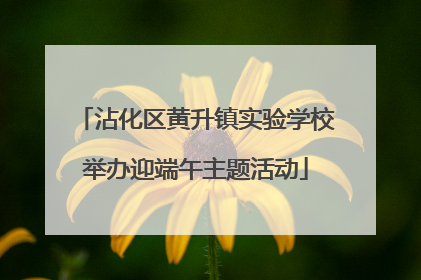 沾化区黄升镇实验学校举办迎端午主题活动