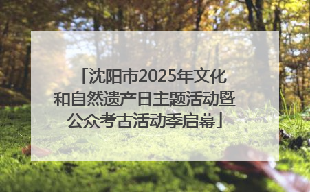 沈阳市2025年文化和自然遗产日主题活动暨公众考古活动季启幕