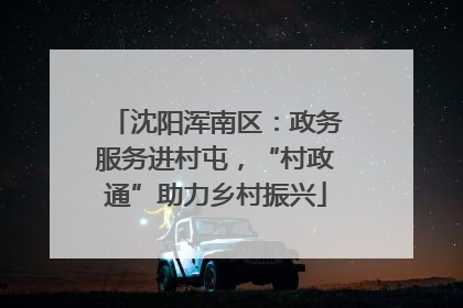 沈阳浑南区：政务服务进村屯，“村政通”助力乡村振兴