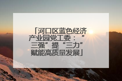 河口区蓝色经济产业园党工委：“三强”提“三力”赋能高质量发展