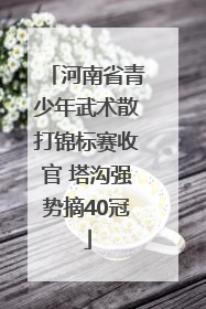 河南省青少年武术散打锦标赛收官 塔沟强势摘40冠