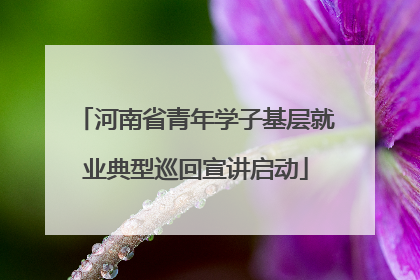 河南省青年学子基层就业典型巡回宣讲启动