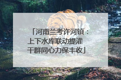 河南兰考许河镇：上下水库联动提灌 干群同心力保丰收
