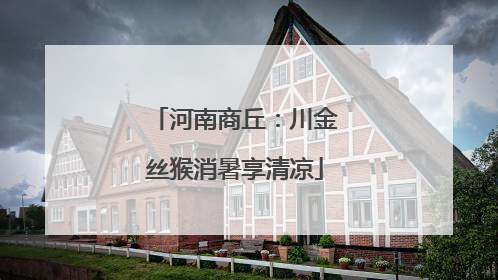 河南商丘：川金丝猴消暑享清凉