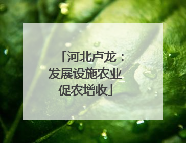 河北卢龙：发展设施农业促农增收