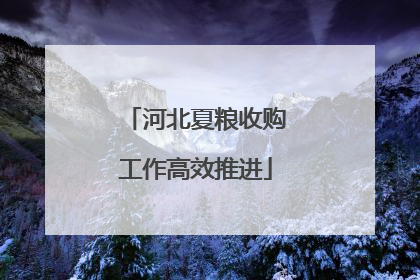 河北夏粮收购工作高效推进