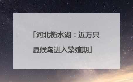 河北衡水湖：近万只夏候鸟进入繁殖期