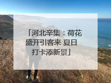 河北辛集：荷花盛开引客来 夏日打卡添新景