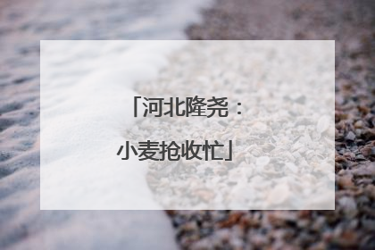 河北隆尧：小麦抢收忙