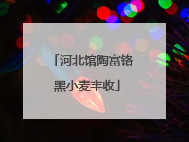 河北馆陶富铬黑小麦丰收