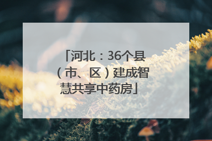 河北：36个县（市、区）建成智慧共享中药房