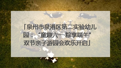 泉州市泉港区第二实验幼儿园：“童趣六一·粽享端午”双节亲子游园会欢乐开启