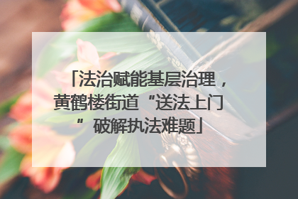 法治赋能基层治理，黄鹤楼街道“送法上门”破解执法难题
