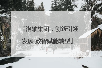 洛轴集团：创新引领发展 数智赋能转型