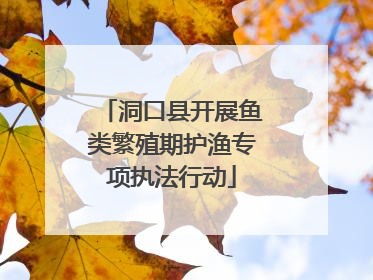 洞口县开展鱼类繁殖期护渔专项执法行动