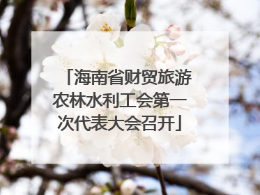 海南省财贸旅游农林水利工会第一次代表大会召开