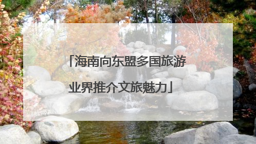 海南向东盟多国旅游业界推介文旅魅力