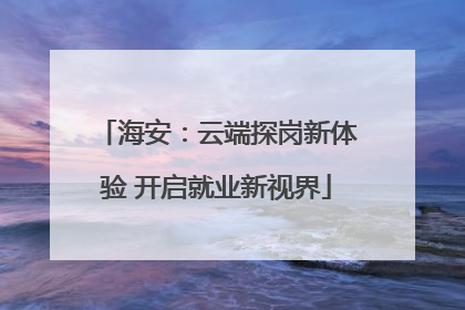 海安：云端探岗新体验 开启就业新视界