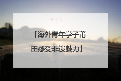 海外青年学子莆田感受非遗魅力