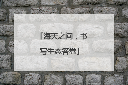 海天之间，书写生态答卷
