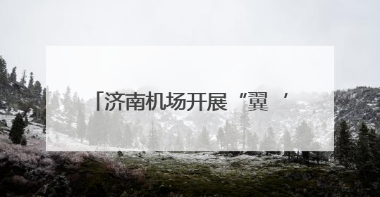 济南机场开展“翼‘童’游泉城‘粽’享新航程”航线推广活动