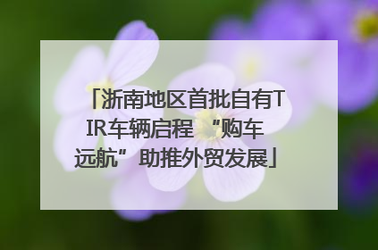 浙南地区首批自有TIR车辆启程 “购车远航”助推外贸发展