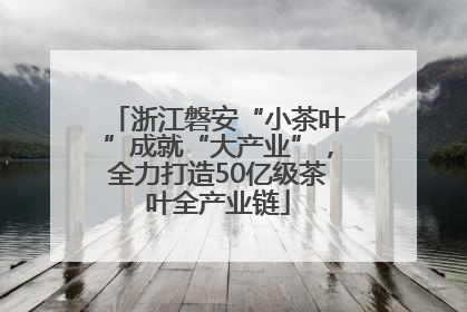 浙江磐安“小茶叶”成就“大产业”，全力打造50亿级茶叶全产业链