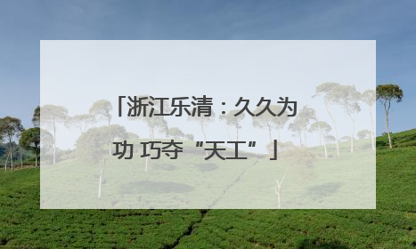 浙江乐清：久久为功 巧夺“天工”