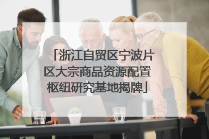 浙江自贸区宁波片区大宗商品资源配置枢纽研究基地揭牌