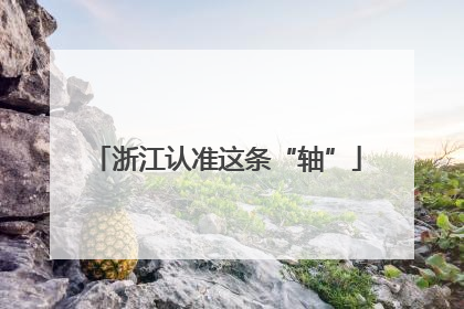 浙江认准这条“轴”