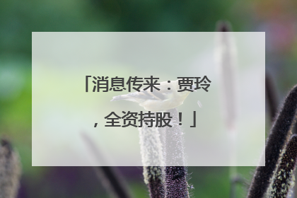 消息传来：贾玲，全资持股！