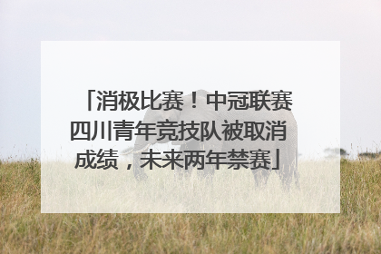 消极比赛！中冠联赛四川青年竞技队被取消成绩，未来两年禁赛
