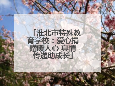 淮北市特殊教育学校：爱心捐赠暖人心 真情传递助成长