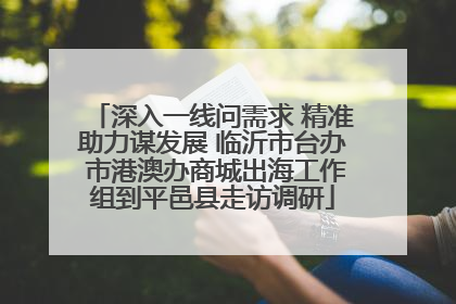 深入一线问需求 精准助力谋发展 临沂市台办 市港澳办商城出海工作组到平邑县走访调研