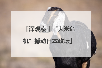 深观察丨“大米危机”撼动日本政坛
