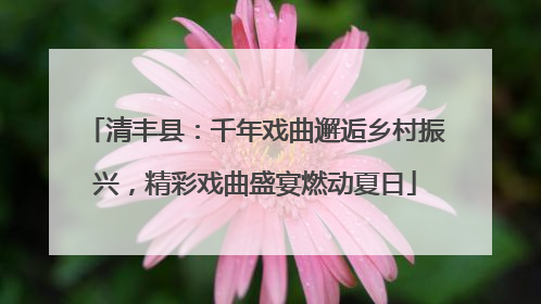 清丰县：千年戏曲邂逅乡村振兴，精彩戏曲盛宴燃动夏日